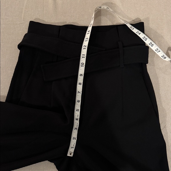 Aritzia Babaton Jermaine Pant - Picture 11 of 11